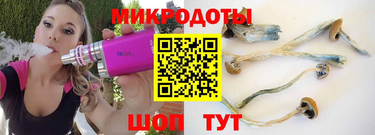 Псилоцибиновые грибы Psilocybine cubensis Богданович