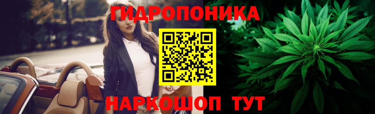 Конопля семена Богданович